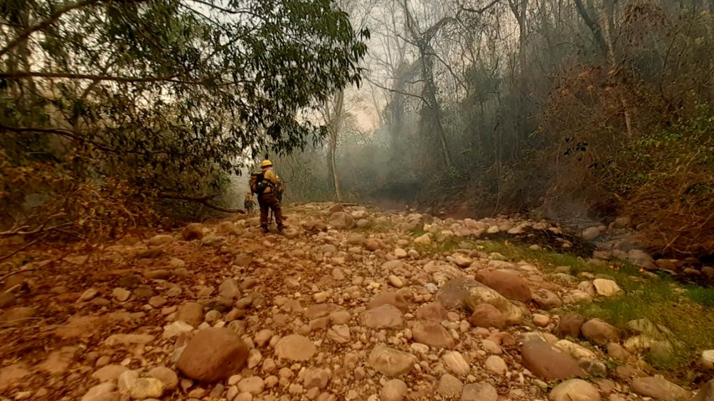 Los incendios forestales siguen con «focos activos» en Salta, Jujuy y Corrientes