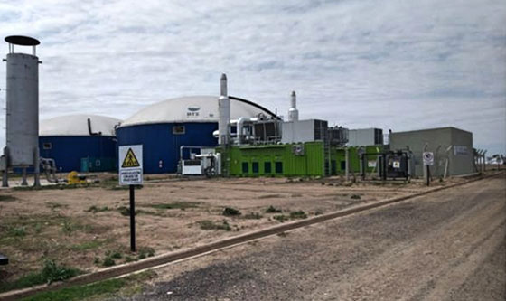 Central de biogás aportará 2 Mw de energía