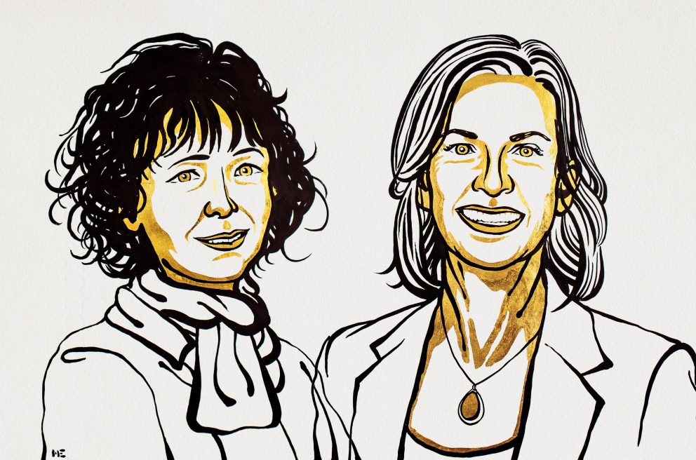 El Premio Nobel de Química 2020 se otorgó conjuntamente a Emmanuelle Charpentier y Jennifer A. Doudna «por el desarrollo de un método para la edición del genoma».