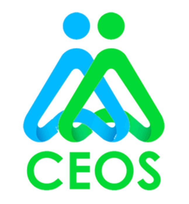 CEOS: RED SOCIAL DE CONOCIMIENTO Y COMUNICACIÓN