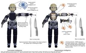 Los científicos desarrollan ‘mini-cerebros’ para ayudar a los robots a reconocer el dolor y a autorepararse