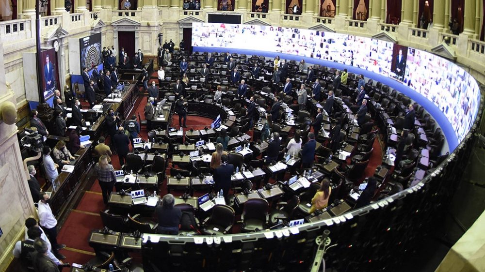 La Cámara de Diputados sancionó la “Ley Yolanda”