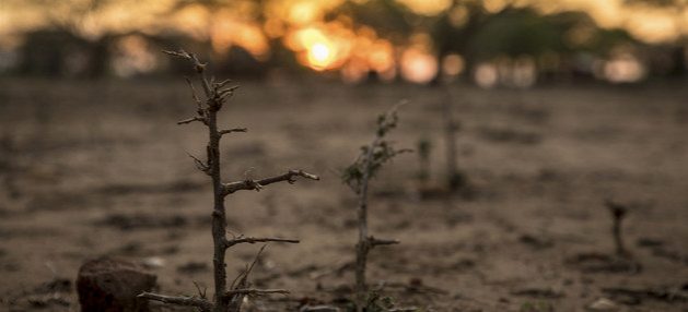 Es muy lenta la marcha para contener el calentamiento global