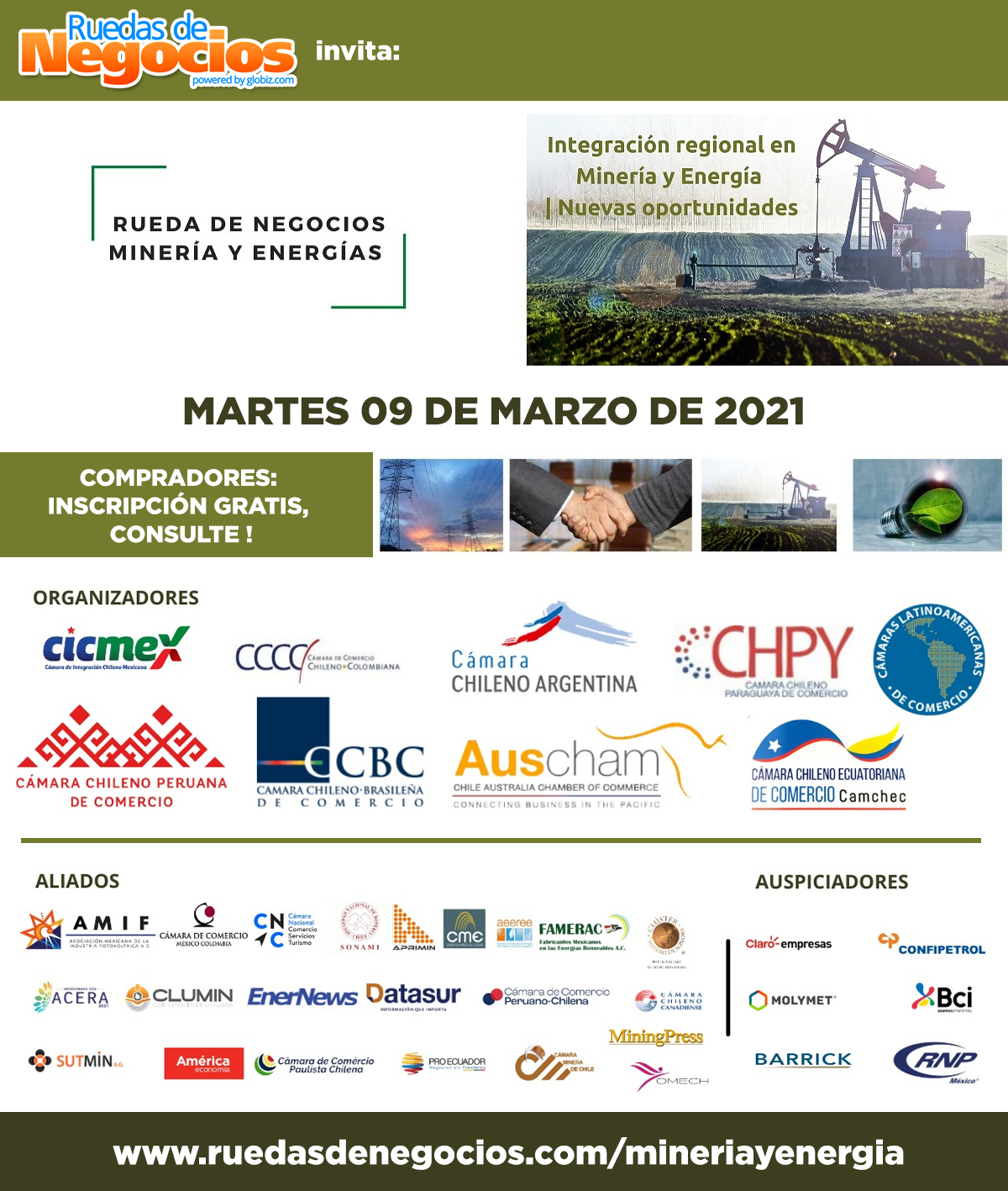 Rueda Virtual de Negocios «Minería y Energía»