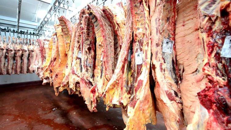 América Latina da sus primeros pasos hacia la carne sostenible