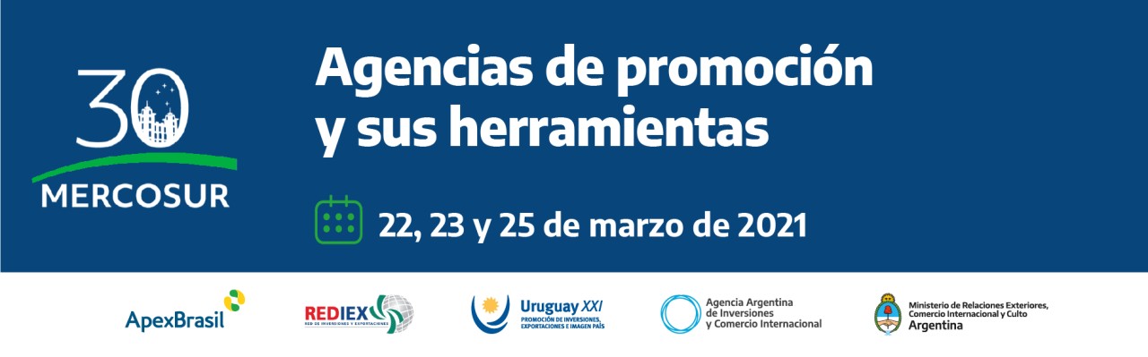 Agencias de promoción y sus herramientas en el marco del 30° Aniversario del Tratado de Asunción
