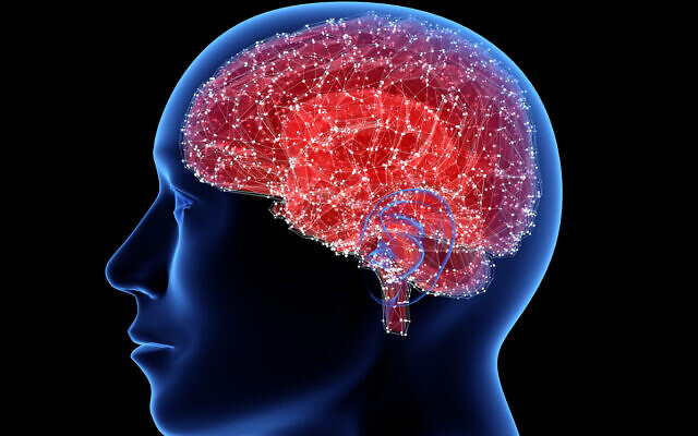 Los científicos israelíes dicen que han allanado el camino para apagar el ‘interruptor del hambre’ del cerebro