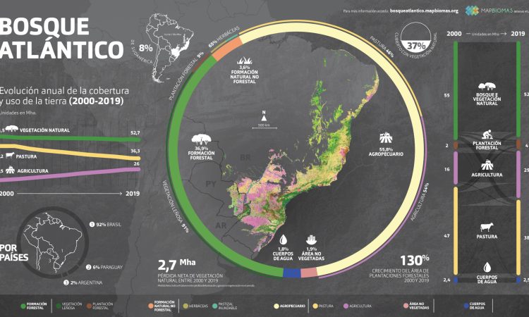 MapBiomas: Expertos de Argentina, Brasil y Paraguay presentaron un análisis histórico de los últimos 20 años de uso y cobertura del suelo en el Bosque Atlántico