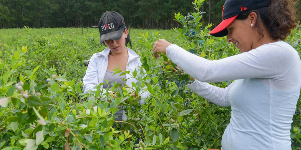 Agricultura destinará más de 29 millones de pesos para desarrollos productivos de mujeres cuyanas