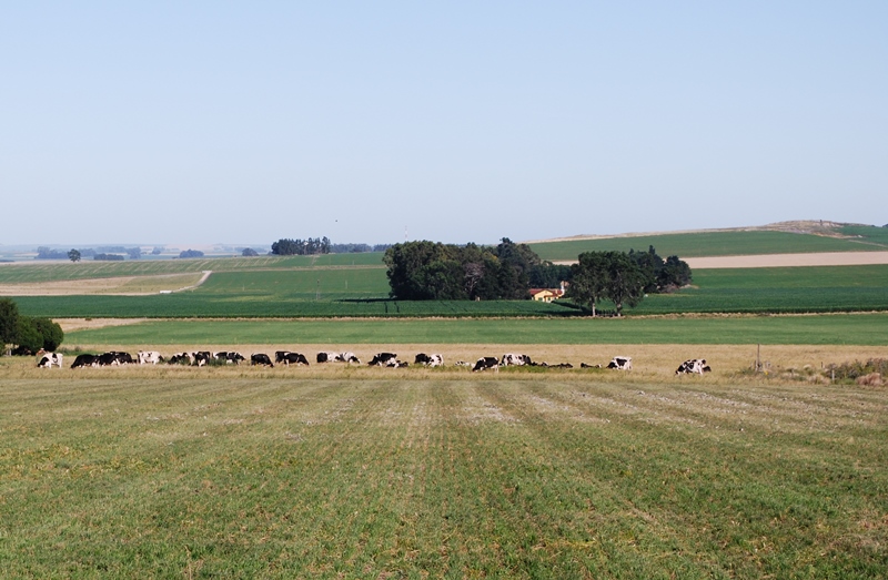 Bioeconomía, una estrategia para reducir el estrés sobre el ambiente