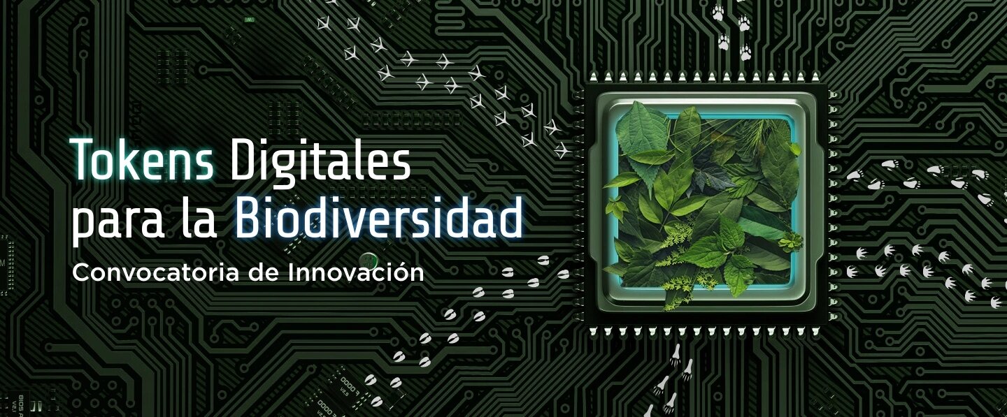 Tokens digitales para la biodiversidad