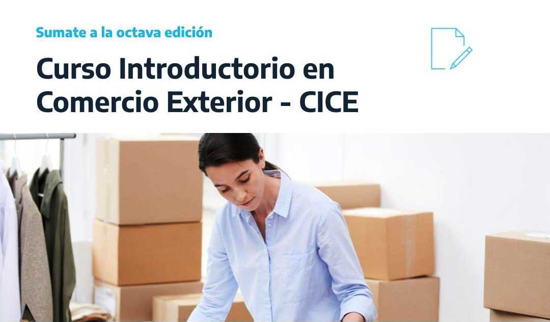 <strong>Curso introductorio en Comercio Exterior</strong>