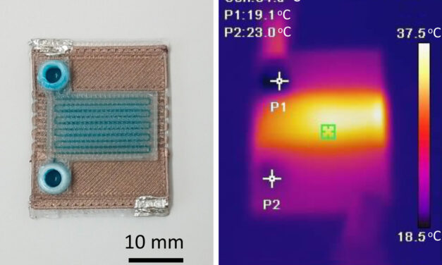 Los científicos imprimen en 3D dispositivos de microfluidos autocalentables