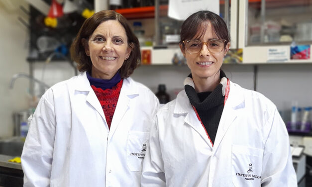 Identifican proteínas novedosas implicadas en la neurodegeneración de las formas más discapacitantes de la esclerosis múltiple