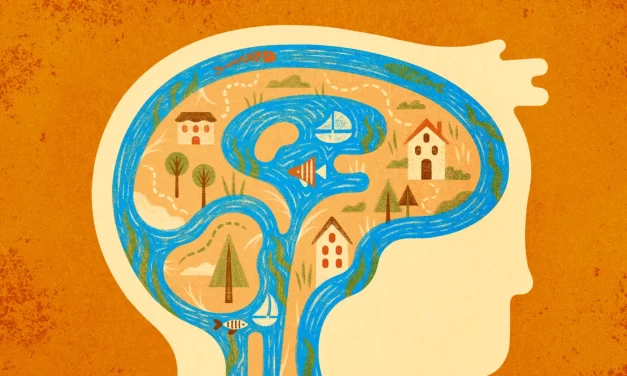 El misterioso flujo de líquido en el cerebro