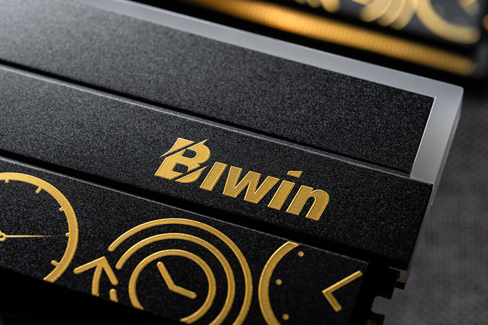 Biwin presentó las primeras memorias DDR5 RGB del mundo con perfiles EXPO dobles