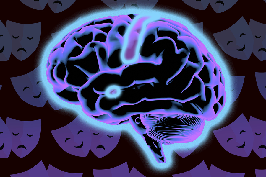 Las moléculas que combaten las infecciones también actúan sobre el cerebro, induciendo ansiedad o sociabilidad