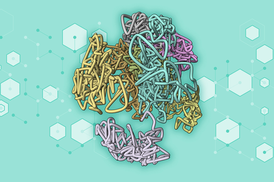 Uso de IA para explorar la estructura 3D del genoma
