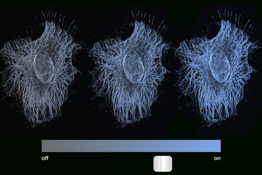 Un estudio descubre que la memoria celular puede parecerse más a un regulador de intensidad que a un interruptor de encendido y apagado