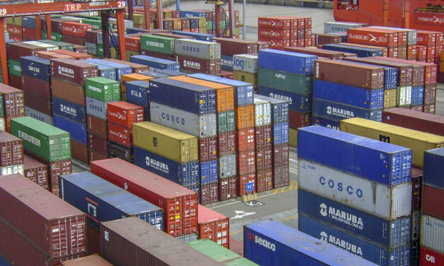 Análisis de las importaciones de bienes de consumo por actividad y empresa: cantidades y empresas, con datos acumulados al 3° trimestre 2025