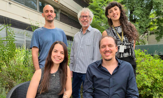 Estudio preclínico: la estimulación con luz y sonido intermitentes promueve el desarrollo de nuevas neuronas en cerebros envejecidos