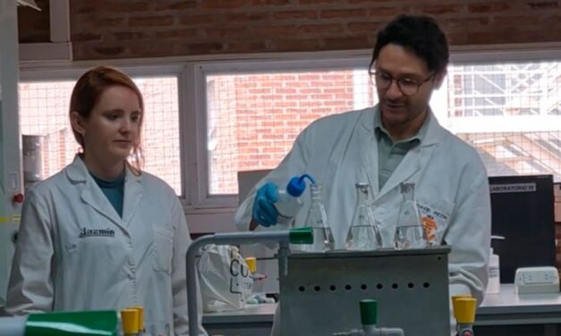 Alimentos libres de microplásticos