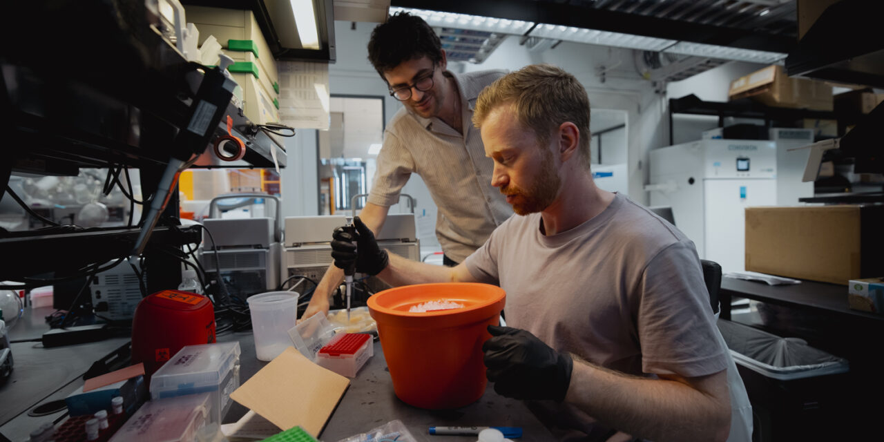 Aprovechar el poder de los hongos para crear los alimentos del futuro