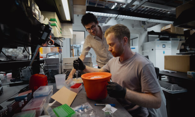 Aprovechar el poder de los hongos para crear los alimentos del futuro