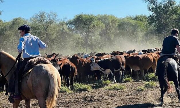 Las 5 barreras que la tecnología derrumbó en el agro