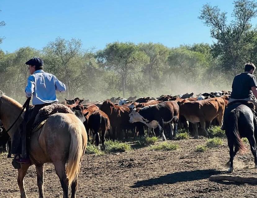 Las 5 barreras que la tecnología derrumbó en el agro